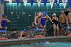 Swimming & Diving vs Babson  Swimming & Diving vs Babson College. - Photo by Keith Nordstrom : Wheaton, Swimming